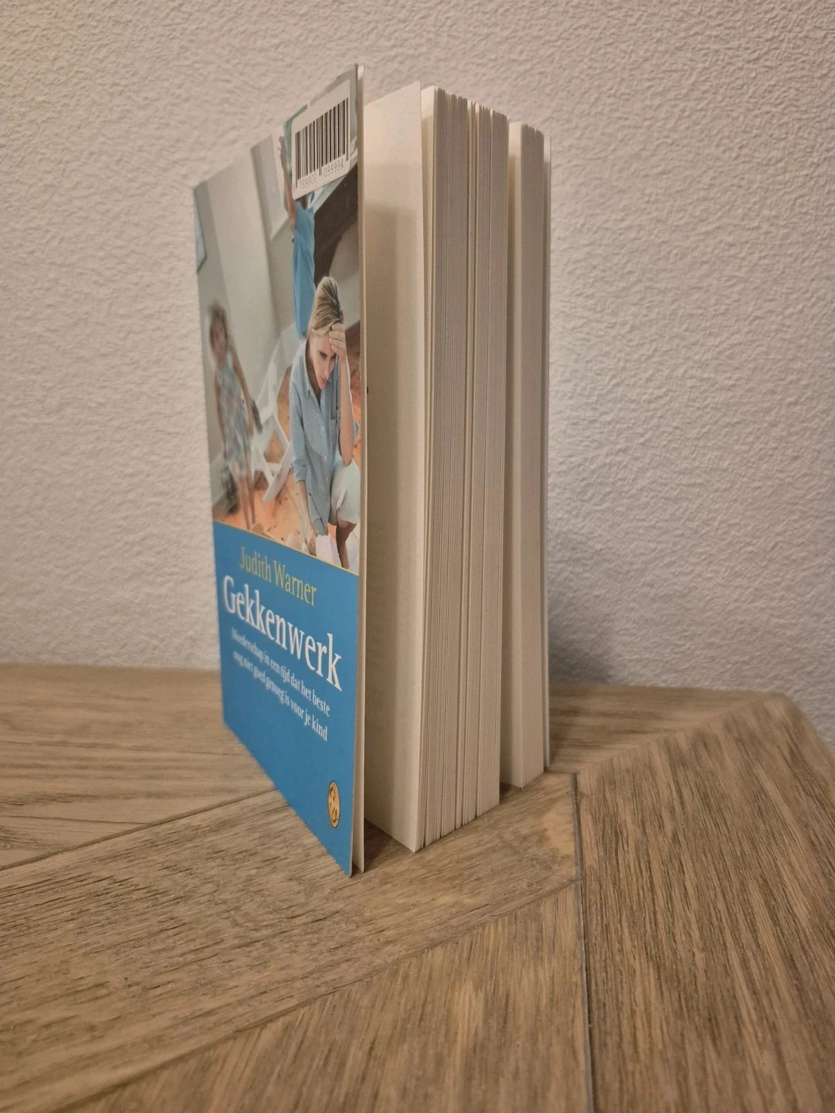 Gekkenwerk – Judith Warner – photo 4